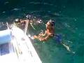 videos de tuffi acrobatici