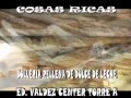 Ver Video