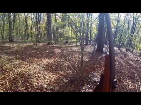 Battue - Une belle battue pour la Saint Hubert de cette association de chasse de Moselle - Saison 2013/2014.