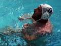 PAYTON PALLANUOTO