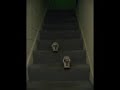 Up Stairs.wmv