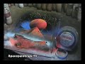 The 1 Minute Painting [Amazing Skills]