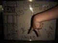 FREE VENiCE-- Lords of Dogtown (P.O.P. Pier Intro) Parody FREE VENiCE-- Lords of Dogtown (P.O.P. Pier Intro) Parody
