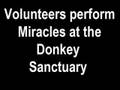 videos de Donkeys