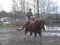 Sterre & Nienke 1st time bridleless Sterre & Nienke 1st time bridleless