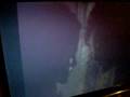 videos de EDWARD AND BELLA KISSING SCENE IN THE MOVIE !!!![*FULL*][MQ]