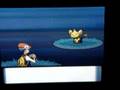 ポケモンゼニガメを破壊