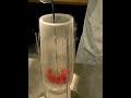 Congelaci�n y fractura de una flor (I)