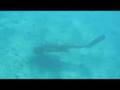 Fiji Outer Reef - Jen Skin Diving