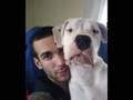 Dogo Argentino video