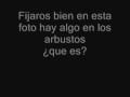 otxate espectro