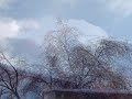 Winter Slideshow Winter Slideshow