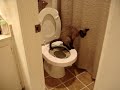 Salem Litter Kwitter stage 3