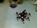 LM Phoenix RC demo