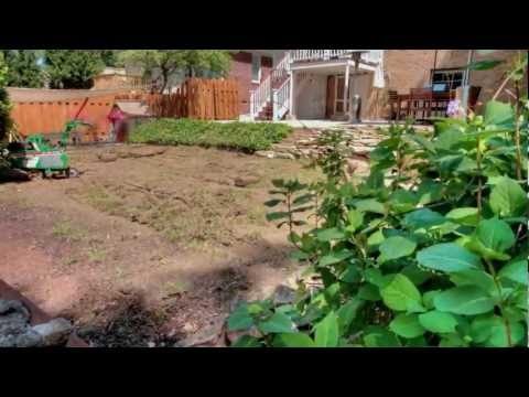 how to transplant sod