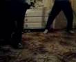 crazy cripping ossem