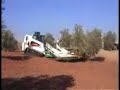 Recolecci�n de Aceituna en Osuna con el SIR de Tecniagri