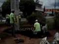 São José plantou e distribuiu mais de 40 mil flores