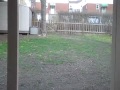 Created on March 22, 2011 using FlipShare.