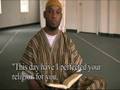 IJS: Hassan Radwan's REJECTIMONY