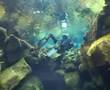 World class diving in Silfra, Thingvellir