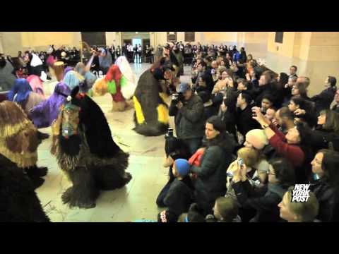 horses grand national