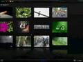 videos de PicLens
