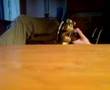 Assistir ao v�deo
