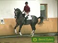 #01 - Showjumping #01 - Showjumping