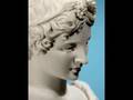 MegasDionysos