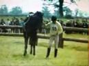 Horse Riding - It's a Sport Horse Riding - It's a Sport