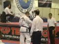 David Wilcox Sparring 2008 TKD World Cup Italy.wmv