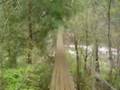 Tour of Fall Creek Falls State Park w/Olen Batchelor Part 1