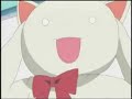fantastic-cat.html