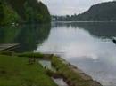 Bled