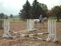 Horse Balking At Gates in Nepean Equestrian Park