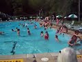 2009 Polar Bear Jump
