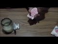 Candle Burn (card trick)- Tutorial