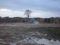 rangey V rhino