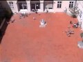 1 minuto de sol 1 minuto de sol