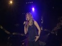 concert lyon 2007