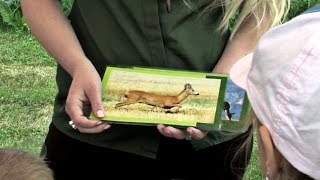 Dětský den v Pavlově a Mohelnici