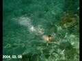 videos de enea 1990 tiran sami frashri