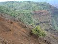 Waimea Canyon, Kauai