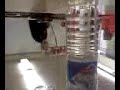 Funny! Crazy Teacher Spazes Funny! Crazy Teacher Spazes