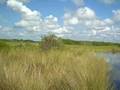 videos de Airboating in Everglades - 3