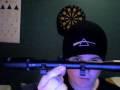 videos de my pellet gun pictures
