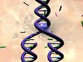 Medical animation of DNA Medical animation of DNA