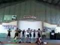 accuracy toril