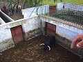 anestesia en el campo